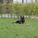 jethro 4-04-2008