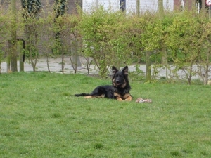 jethro 4-04-2008