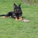 jethro 4-04-2008
