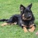 jethro 4-04-2008