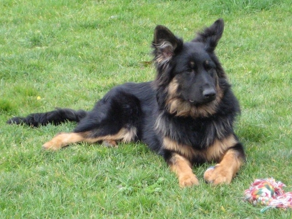 jethro 4-04-2008