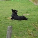 jethro 4-04-2008