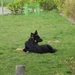 jethro 4-04-2008