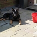 jethro 4-04-2008