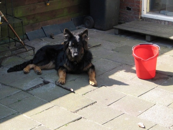 jethro 4-04-2008