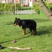 jethro 4-04-2008