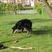 jethro 4-04-2008