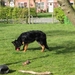 jethro 4-04-2008