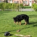 jethro 4-04-2008