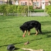 jethro 4-04-2008