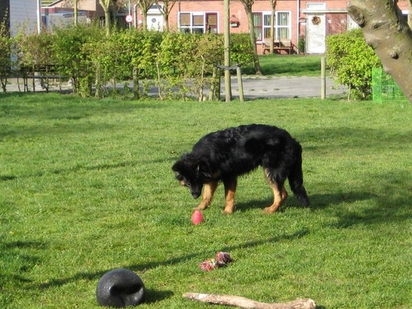 jethro 4-04-2008