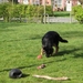 jethro 4-04-2008