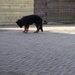 jethro 4-04-2008