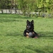 jethro 4-04-2008