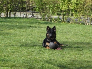 jethro 4-04-2008