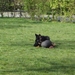 jethro 4-04-2008