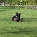 jethro 4-04-2008