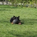 jethro 4-04-2008