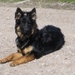 jethro 4-04-2008