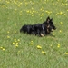 jethro 4-04-2008
