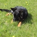 jethro 4-04-2008