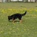 jethro 4-04-2008
