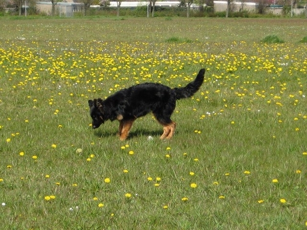 jethro 4-04-2008