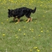 jethro 4-04-2008