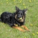 jethro 4-04-2008