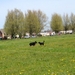 jethro 4-04-2008
