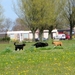 jethro 4-04-2008