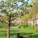 jethro 6-05-2008