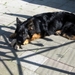 jethro 6-05-2008