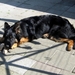 jethro 6-05-2008