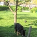 jethro 6-05-2008