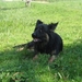jethro 7-05-2008