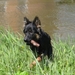 jethro 7-05-2008