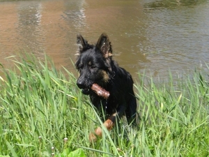 jethro 7-05-2008