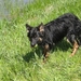 jethro 7-05-2008