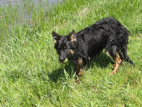 jethro 7-05-2008