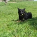 jethro 7-05-2008