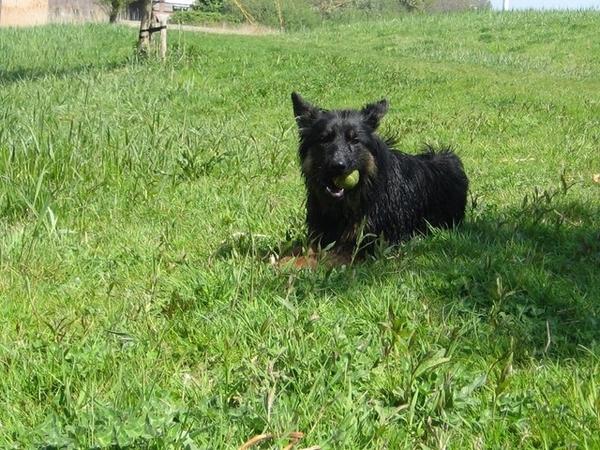 jethro 7-05-2008