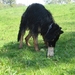 jethro 7-05-2008 (14) [640x480]