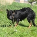 jethro 7-05-2008