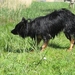 jethro 7-05-2008