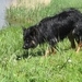 jethro 7-05-2008