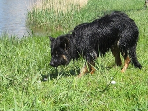 jethro 7-05-2008