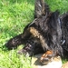 jethro 7-05-2008 (3) [640x480]