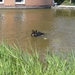 jethro 7-05-2008