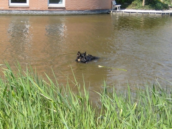 jethro 7-05-2008